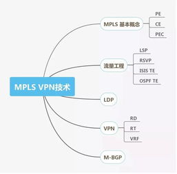 網(wǎng)絡工程師技能圖譜 從基礎架構到前沿技術的全面掌握